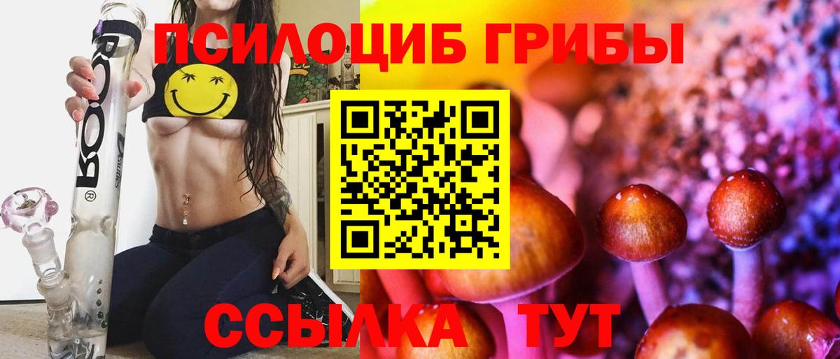 Псилоцибиновые грибы мицелий Обь